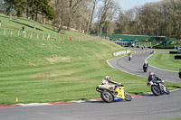 Lower Group Yellow Bikes
